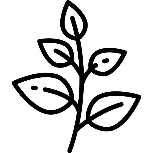 Himalayan Herbs